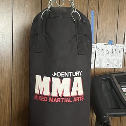 Punching Bag - Century MMA