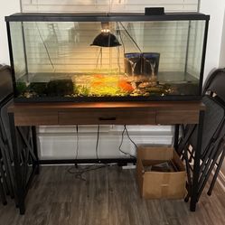 Complete 40-Gallon Fish Tank & Stand 