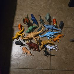 Play Animals