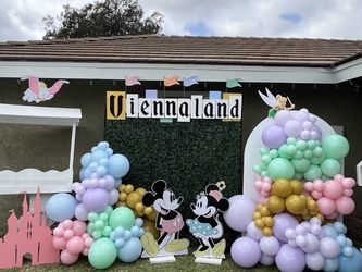 Disneyland Birthday