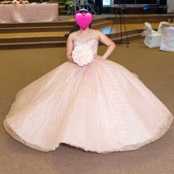Blush Pink Sparkly Quinceañera Dress