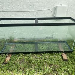 57 Gallon Fish/Reptile Tank With Filter