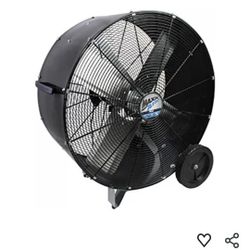 Big Fan
