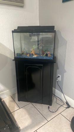 Fish tank with accessories