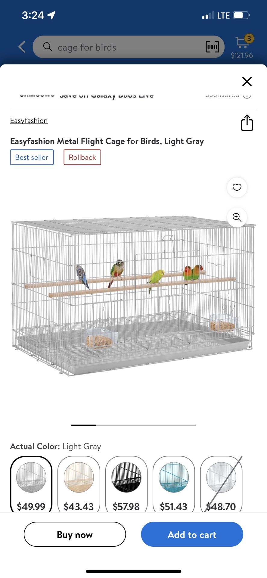 Bird Cage 