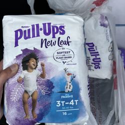 Pull-Ups 3T-4T 16 Count