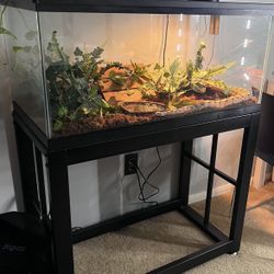 Fish Tank/ Aquarium Tank 