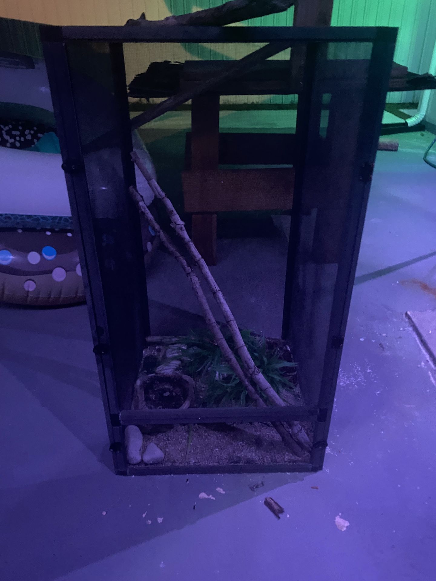 Reptile Enclosure