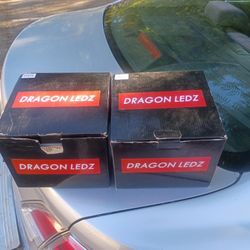 Ledz Headlights 7inch 