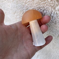 Crystal Mushroom, Natural Color
