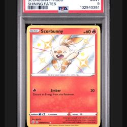 Pokemon Shiny Scorbunny & Sobble