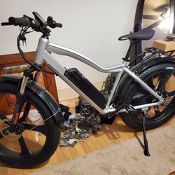 Fat tire E-Bike