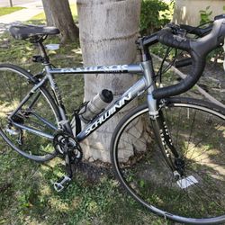 Schwinn Fastback, Carbon Fork 