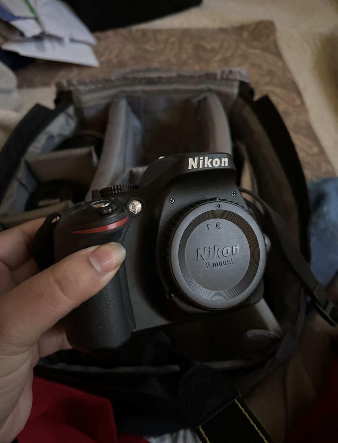 Nikon Camera + Lenses