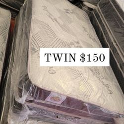 Twin Set 