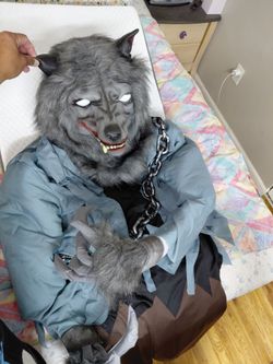 Halloween werewolf with box.