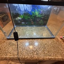 Fish Tank With LED Lights 