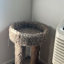 Cat Tree