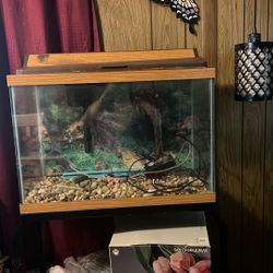 20 gallon aquarium needs cleaning but everything you need to heat the filter the rocks and pump