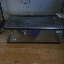Reptile Tank