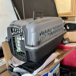 Small Pet Carry On
