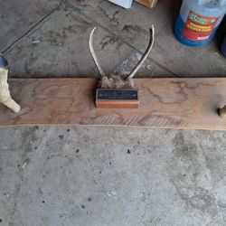 Deer Decor