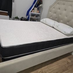 Full Size Mattress and Box Spring W/ Bed Frame