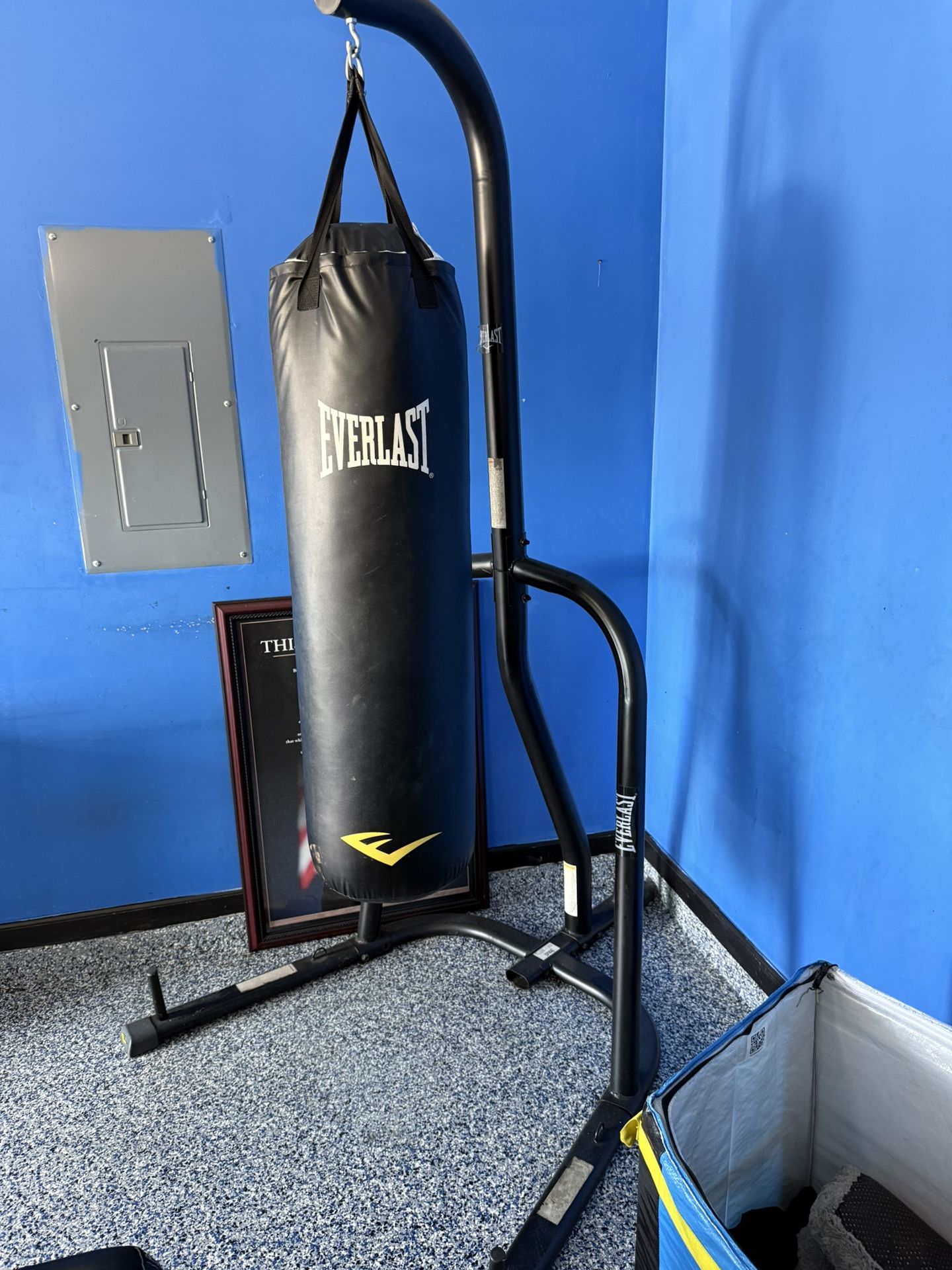 Everlast Punching Bag