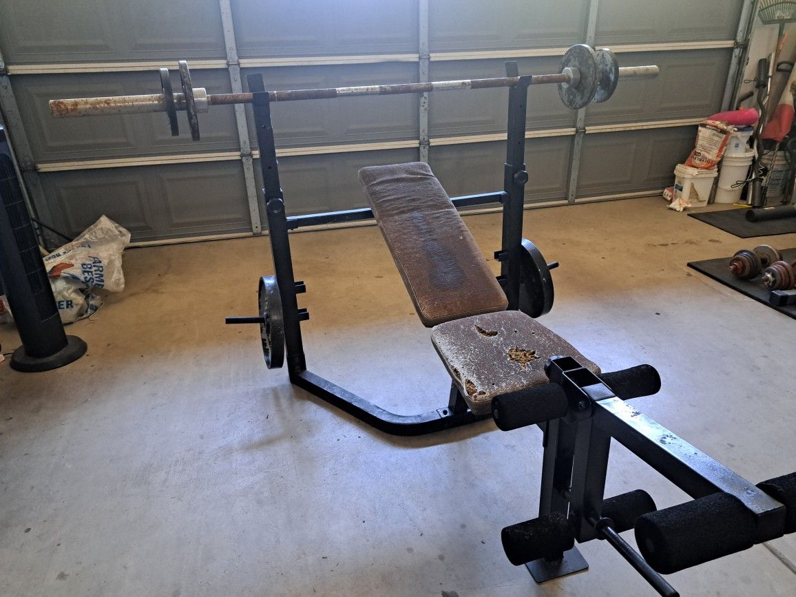 Olympic Bench Bar And Plates 145lb Of Weight 