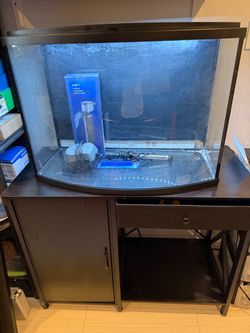 36 gallon bow front with wood stand/great condition