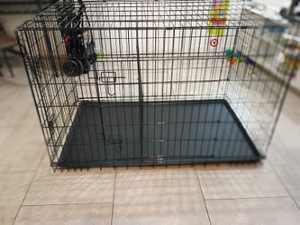 Dog Crate N Items