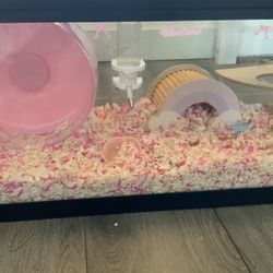 Hamster Cage