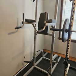 Roman Chair Exercise Eq