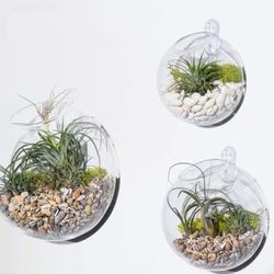 Wall Mounted Hanging Planters 
