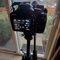 EOS Rebel T7 Digital Camera With 600mm Lens