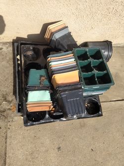 Planter Pots /Trays