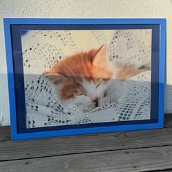 Kitty Kitten Cat Framed Poster Print Artwork 28.75”x21” Animal (Silver Lake)