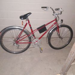 religh bike Beach cruiser