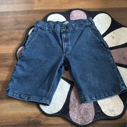 Dickies Skateboarding Jorts