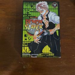 Demon Slayer 17
