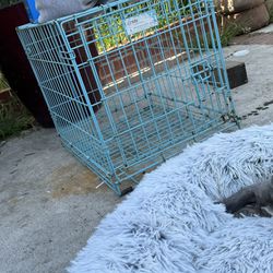 Dog Crate and Bed 