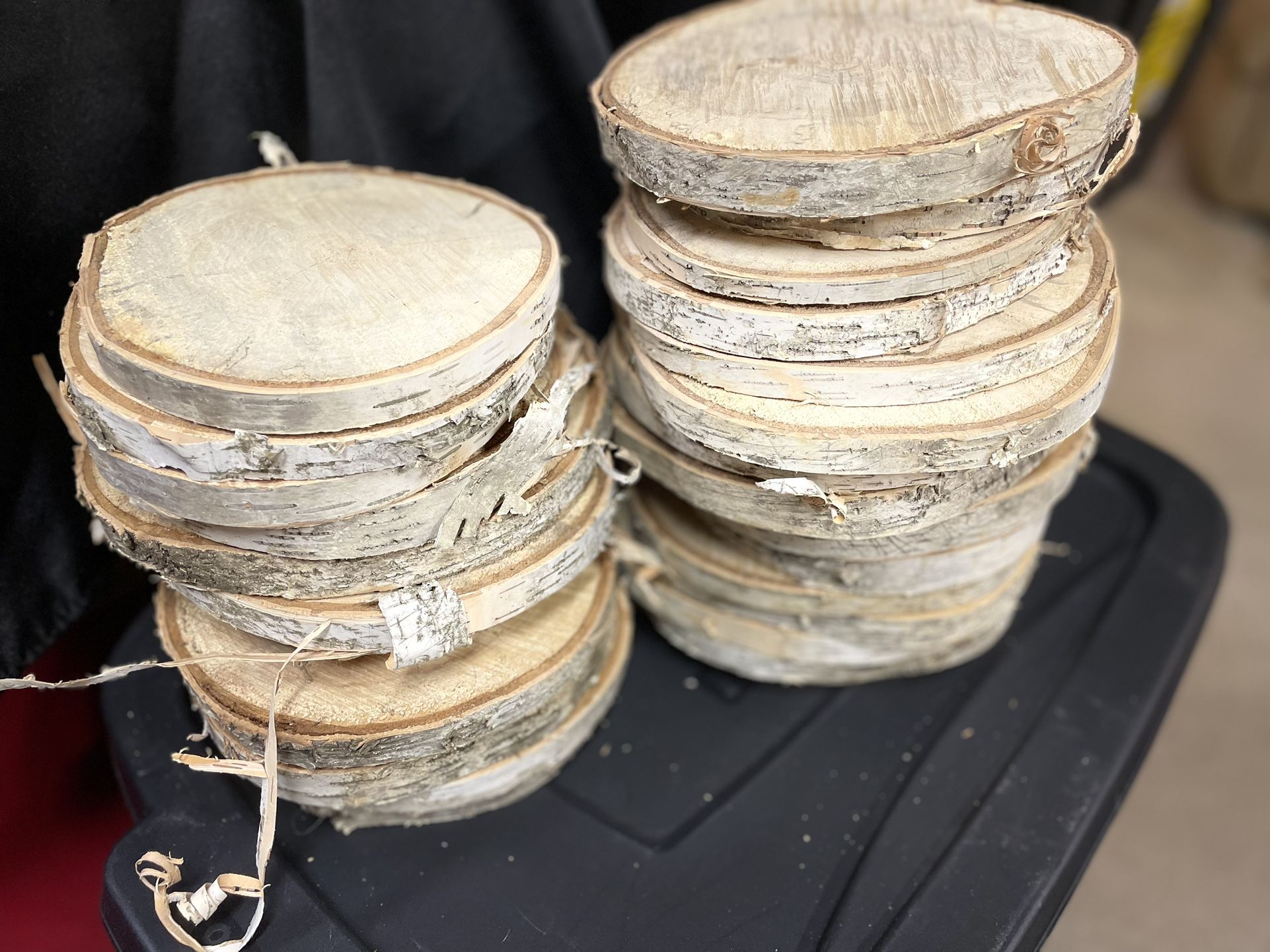 🌿 26 Real River Birch Wood Slices 7–8” 