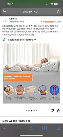 Lenora Wedge Pillow System