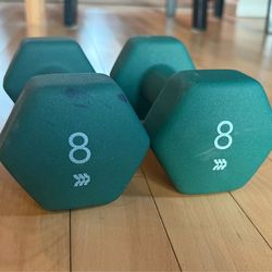 (2) 8 pound weights
