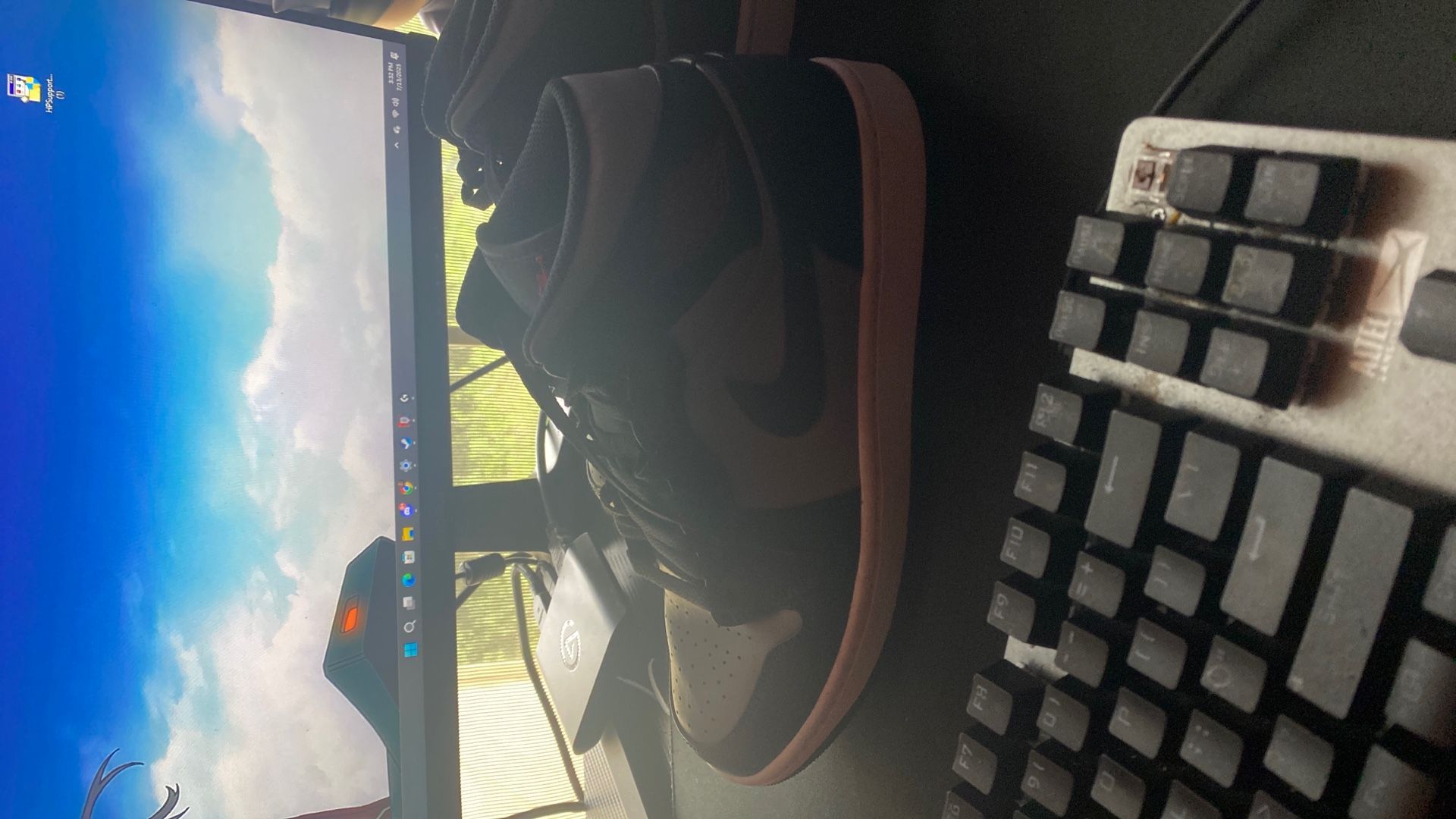 Jordan 1 Shadow