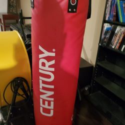 Punching Bag 
