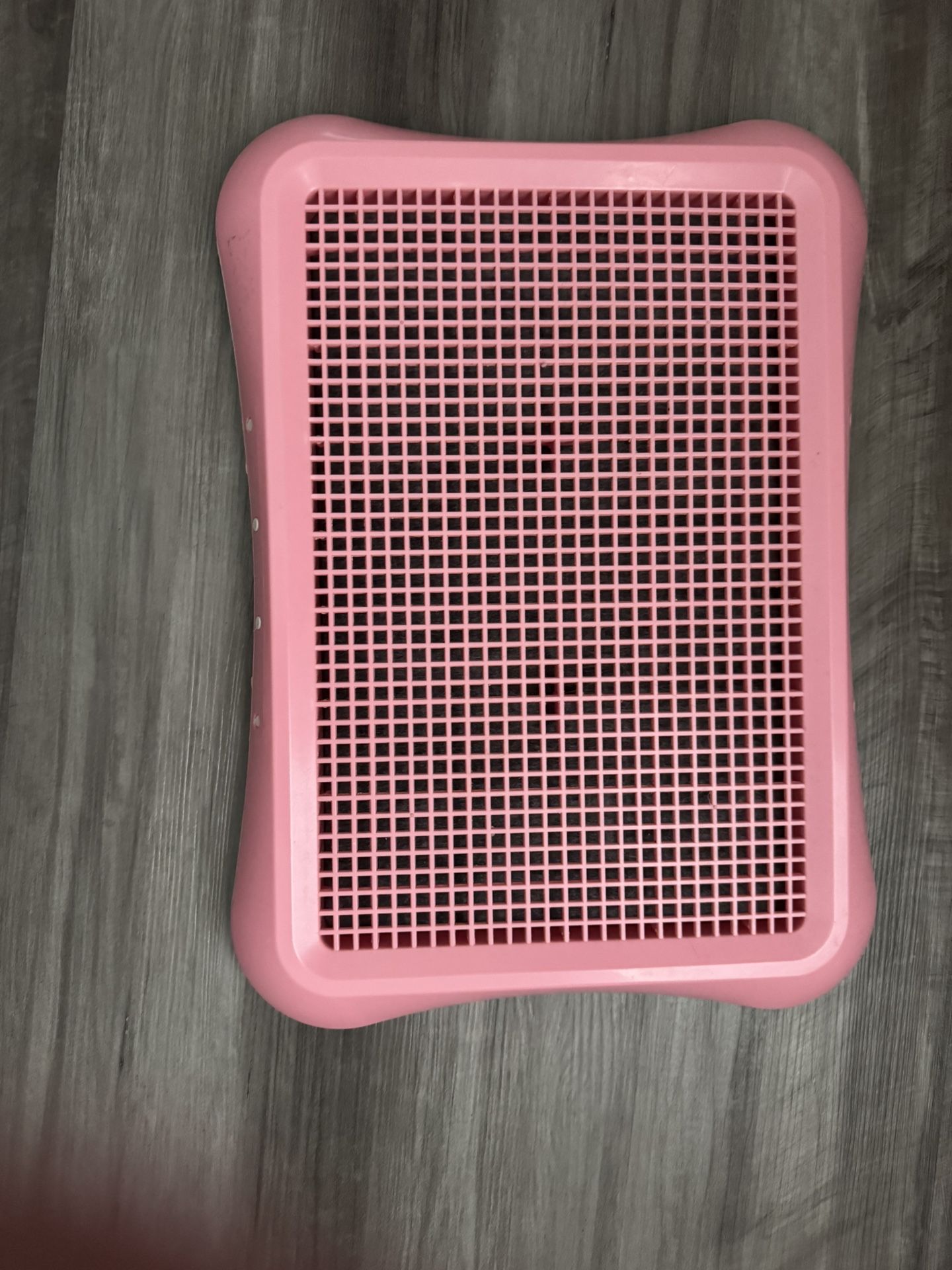 Dog Potty Training 