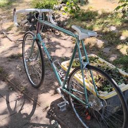 Vintage 1986 Raleigh Grand Prix ,Seafoam And Lilac