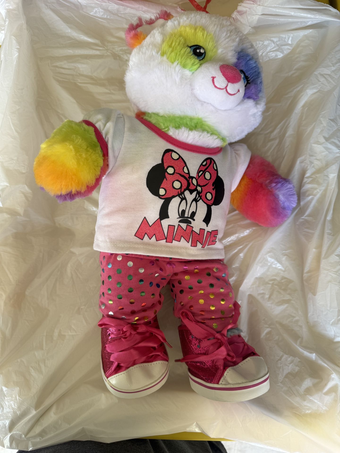 Build A Bear Rainbow Bear In Authentic BAB outfit