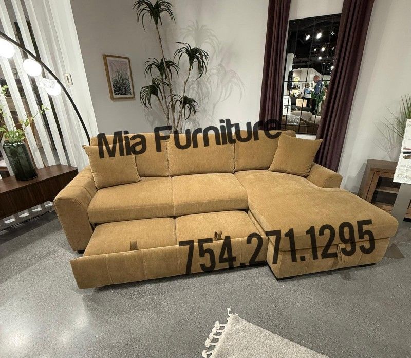 Pull Out Sleeper Sofa Sectional Couch
